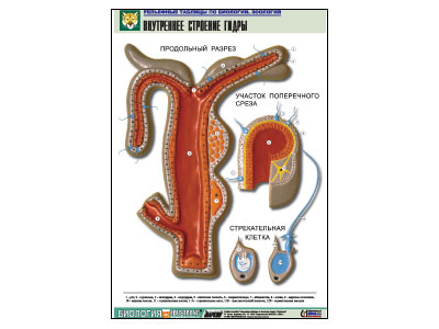 ��������� ������� "���������� �������� �����" (������ �1, ������� �������.)