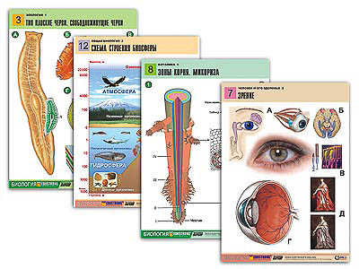 �.��������. ���� ���� (120 ��., �1, �������, ���)