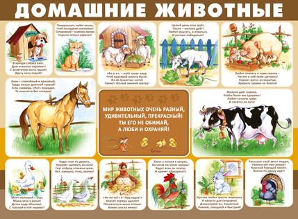 ��.�������� �������� (������.������ 440*587 ��)