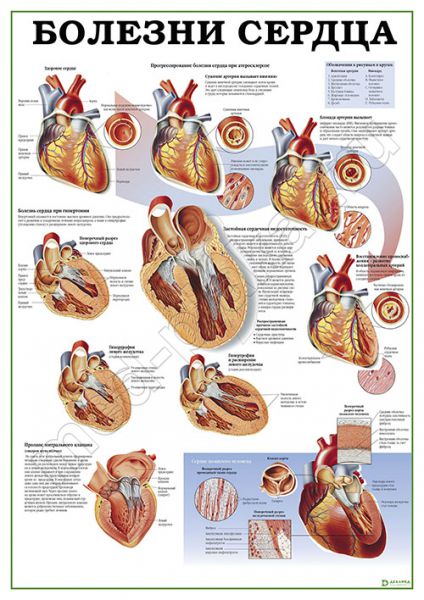 �.������� ������ �������, �������������� �1