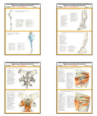 �.��������������� ��������.������.��� � ���������� (22 ��,�����,70*100)
