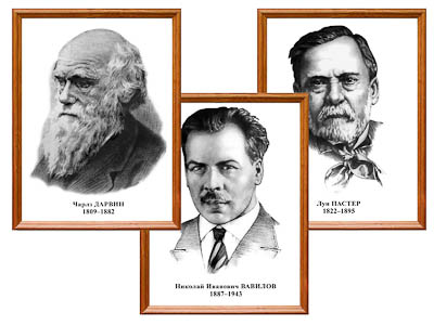 �������� ���������� �������� (���������� �����, ��� �������, �������� 8 ��.)