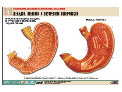 ��.������� ������� � ��������� ����������� (�1,���.���,���������)