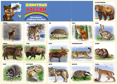 ��.�������� ������ (������, ������440*596 ��)