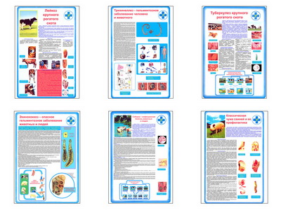 �.������� �������������� ����� (6 ��,�����,70*100)