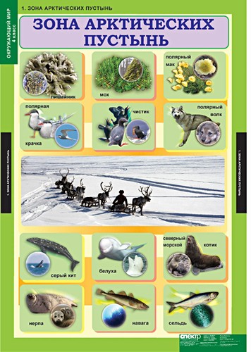 �.���������� ��� 4 ����� (15 ����.)