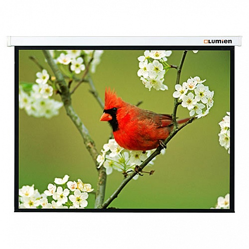 ����� ��������� 153*203 Lumien Master Picture