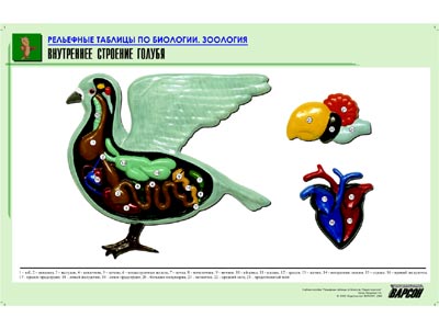 ��������� ������� "���������� �������� ������"