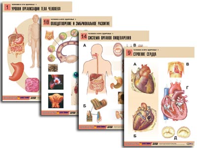 �.������� � ��� �������� 1 (20 ����., ������ �1, ���.) 