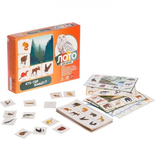 ���� "��� ��� �����" (������)