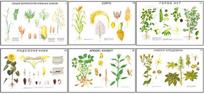 �.���������������.��������,������������ � ����������� �������� (18 ��,�����,70*100)