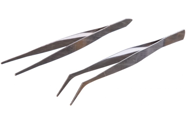 ����� �������� 