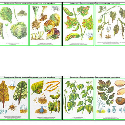 �.���������, ������� �������, ��������,������������ ������� �.2 (22 ��,�����,70*100)