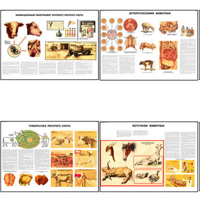 �.���� ������ � ��������� ������������� �/� �������� � ����� (23 ��,�����,70*100)