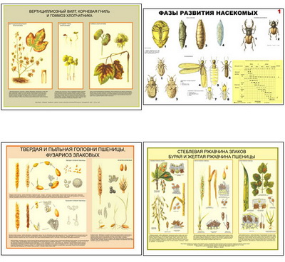 �.��������� � ������� �/� ������� � ���� ������ � ���� (11 ��,�����,70*100)