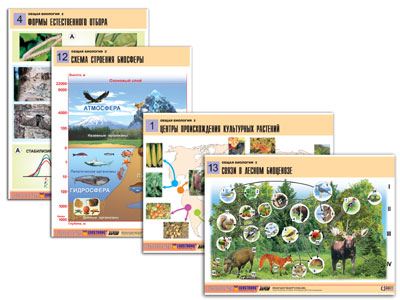 �.����� �������� 2 (14 ����., ������ �1, ���.) 