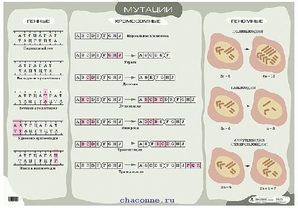 ������� (1)403 ����������.