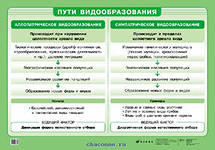 ���� ��������������� (1) 790 ���������.