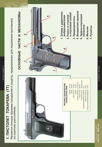 �.������ ������ (8 ����.)