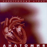 ��������. (�������� ����� ���������)  (CD) ���. �� 1 ������� �����