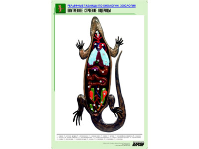 ��������� ������� "���������� �������� �������"