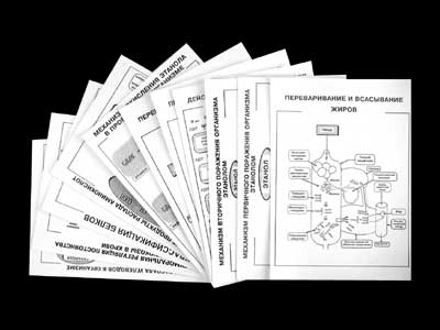 �.���������� � ���. �����. 9-11 ��. �������� 2