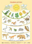 ��.������� �������