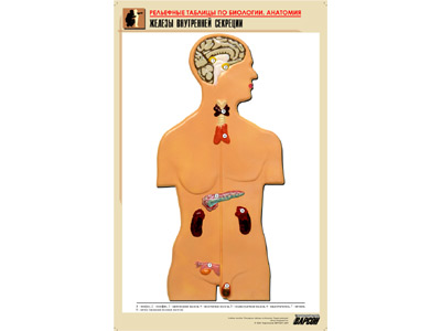 ��.������ ���������� �������� (������ �1,���.���,���������)