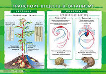 ��������� ������� � �������./�������� ����������� (2) 792 ���������.