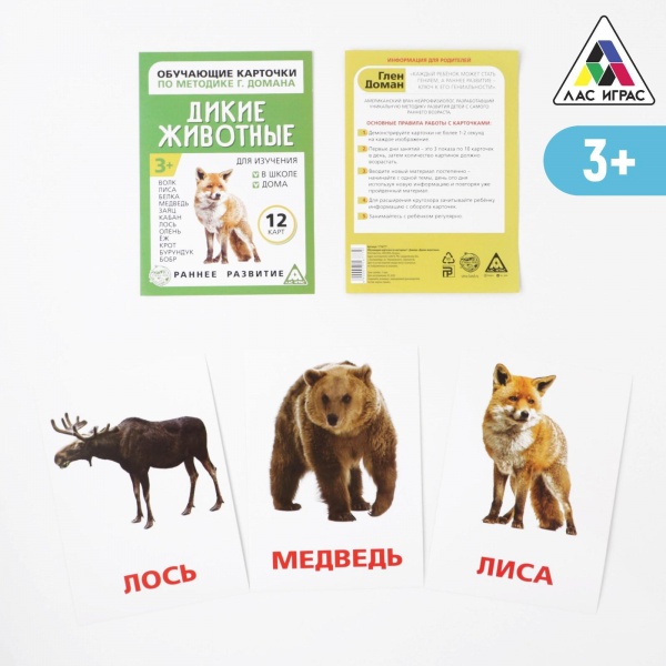 ��������� �������� �� �������� �. ������ ������ ��������, 12 ����, �6