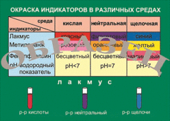 �.������� ����������� � ��������� ������ (�����, 100�140��)