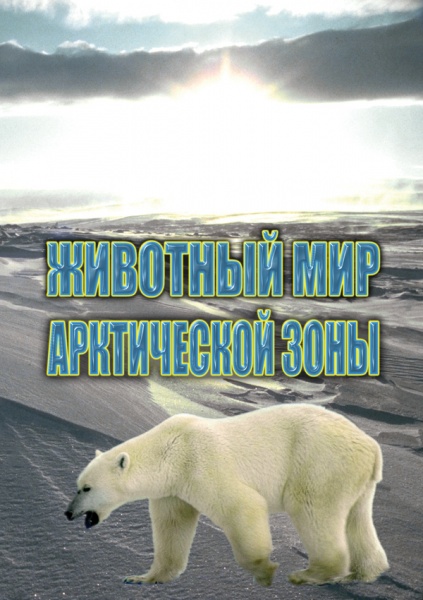 �������� ��� ����������� ���� (DVD)