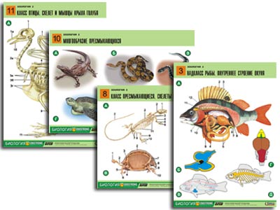 �.�������� 1 (14 ����., ������ �1, ���.) 