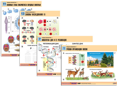 �.����� �������� 1 (16 ����., ������ �1, ���.) 