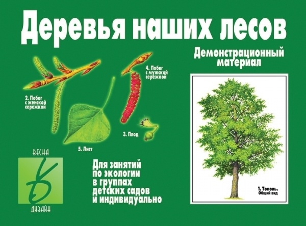 ���������-�������� ���.���� � ����� "������� ����� �����"