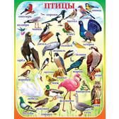 ��.����� (������, ������ 683*485��)