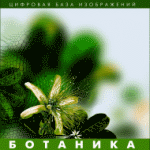 ��������. (�������� ���� �����������)  (CD) ���. �� 1 ������� �����