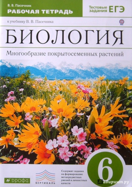 �������� �������� 6 ��. ������������ ��������������� ��������. �/� � ��������� ��������� ����2021�