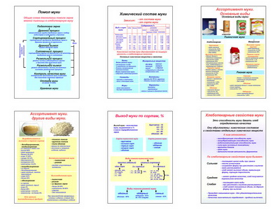 �.���� (6 ��,�����,70*100)