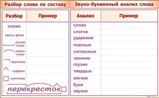 ����� ���������"�����-��������� ������ �����" (1300 � 800 ��)