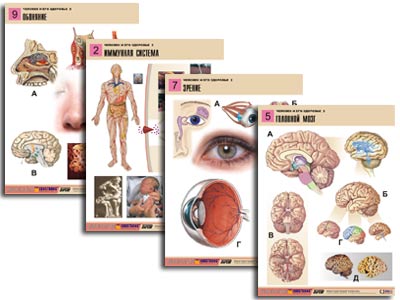 �.������� � ��� �������� 2 (10 ����., ������ �1, ���.) 