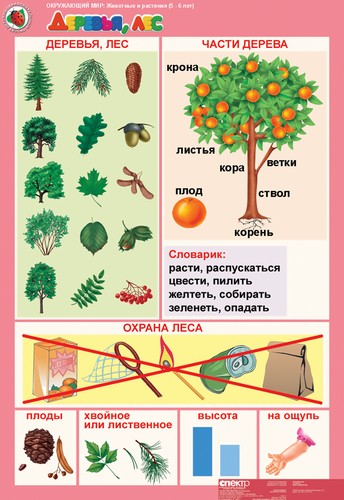 �.���������� ��� 5-6 ���."�������� � ��������" (12 ����.+16 ���.)