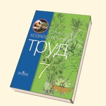 �������� �������������������� ���� 7 ��. (8 ���)