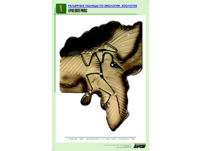 ��.������������ (������ �1,���.���,���������)