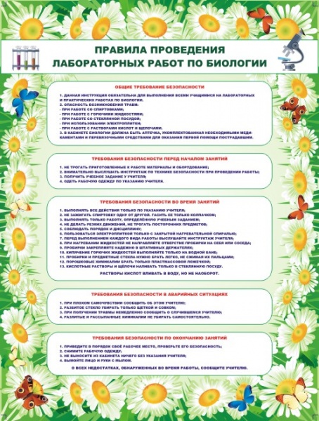 �����"������� ���������� ������������ ����� �� ��������"(1000*1500 ��)