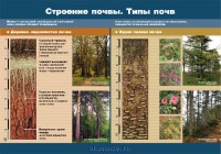 ������ � �����/�������� �����.���� ����.������� (2) 793