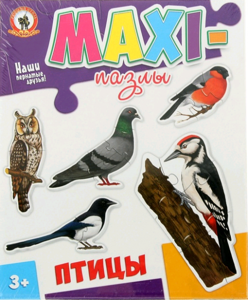 ���� �������� "�����" (��� �������)