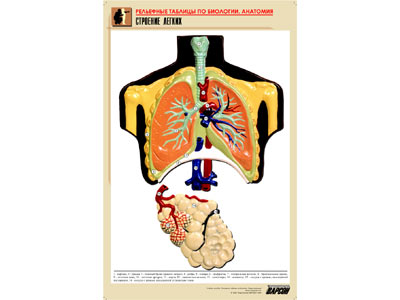 ��.�������� ������ (������ �1,���.���,���������)