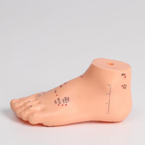 ������ ���� 13 �� (�����������)