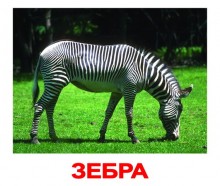�������� �� ����������� ���� "����� ��������"